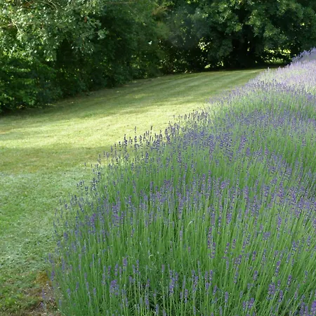Bed & Breakfast La Aux Oiseaux Cayriech