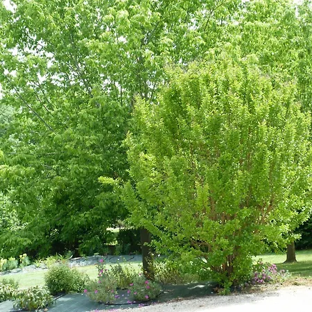 La Aux Oiseaux Bed & Breakfast