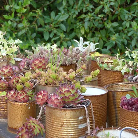 La Aux Oiseaux Bed & Breakfast