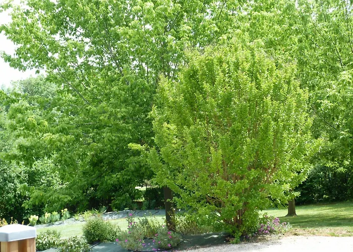 La Aux Oiseaux Bed & Breakfast