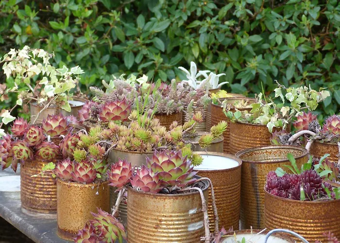 La Aux Oiseaux Bed & Breakfast